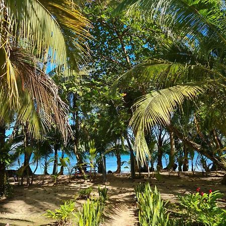 Drago Beach House - Private Beach Boca del Drago Bagian luar foto