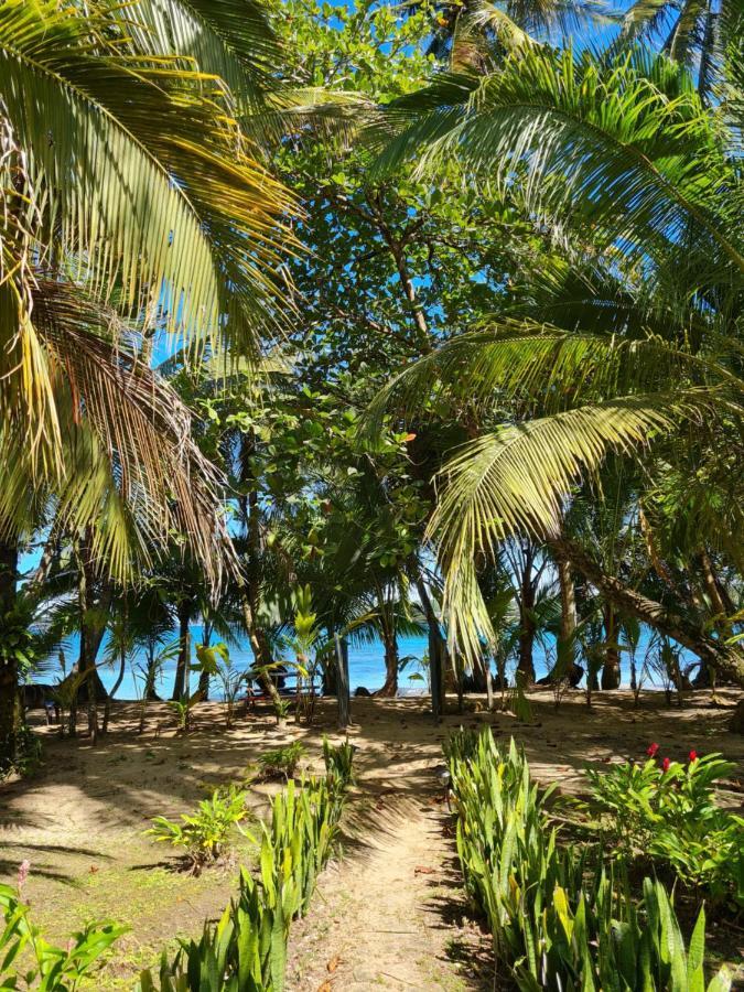 Drago Beach House - Private Beach Boca del Drago Bagian luar foto