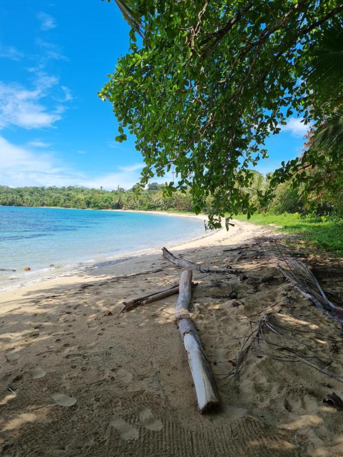 Drago Beach House - Private Beach Boca del Drago Bagian luar foto