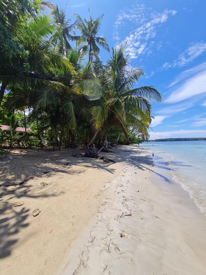 Drago Beach House - Private Beach Boca del Drago Bagian luar foto