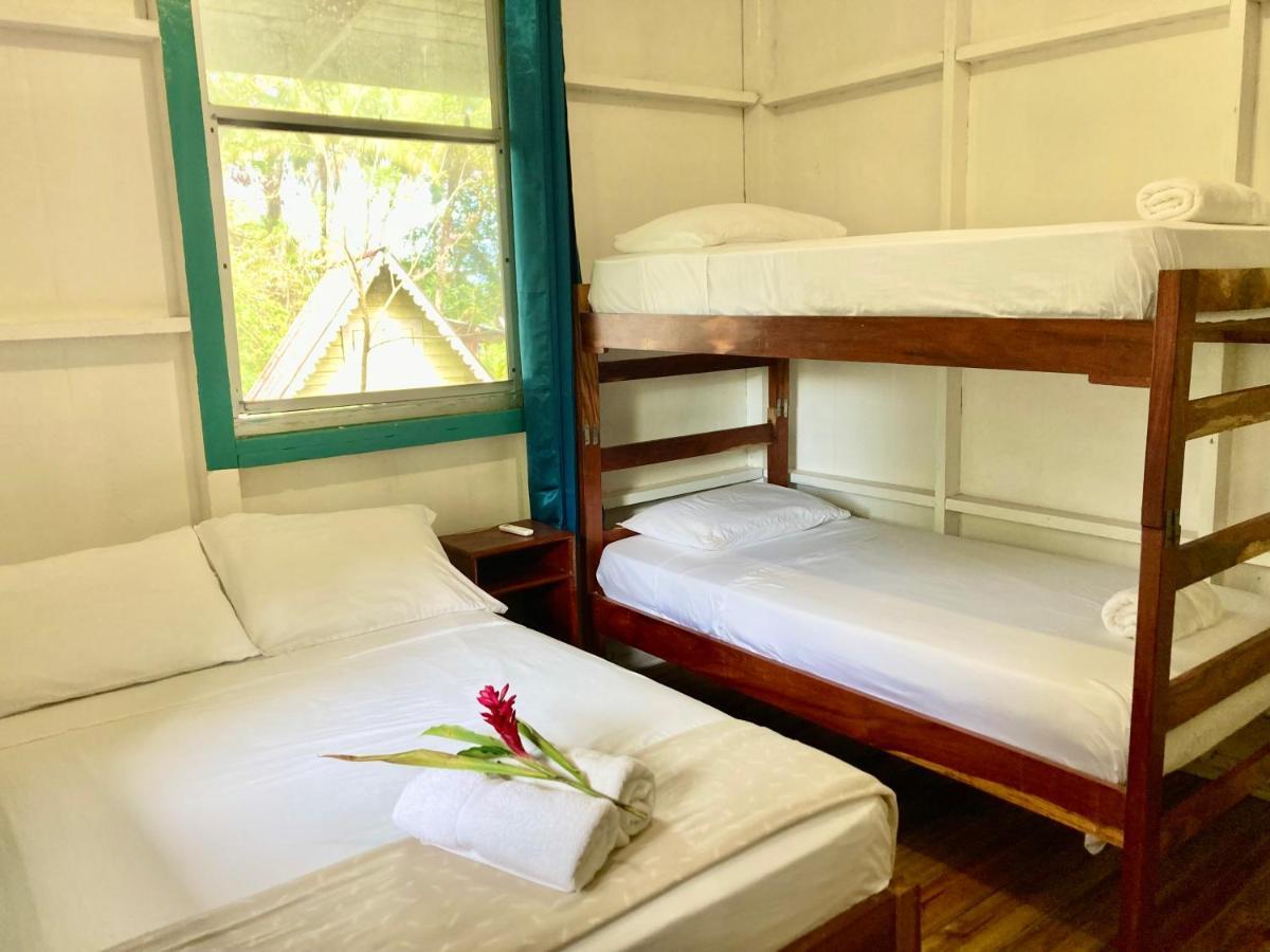 Drago Beach House - Private Beach Boca del Drago Bagian luar foto