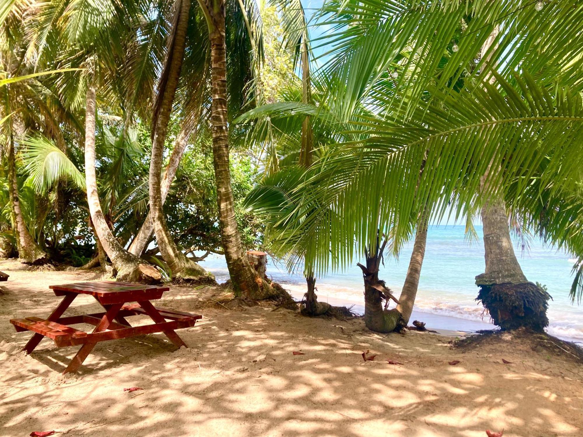 Drago Beach House - Private Beach Boca del Drago Bagian luar foto
