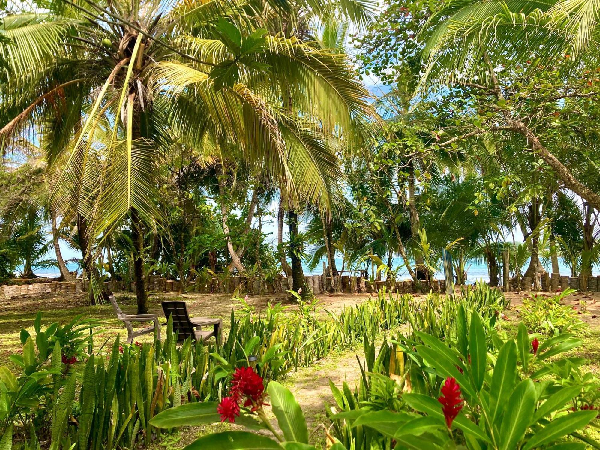 Drago Beach House - Private Beach Boca del Drago Bagian luar foto