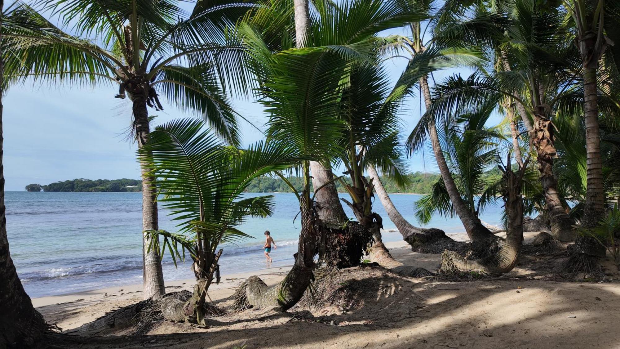 Drago Beach House - Private Beach Boca del Drago Bagian luar foto