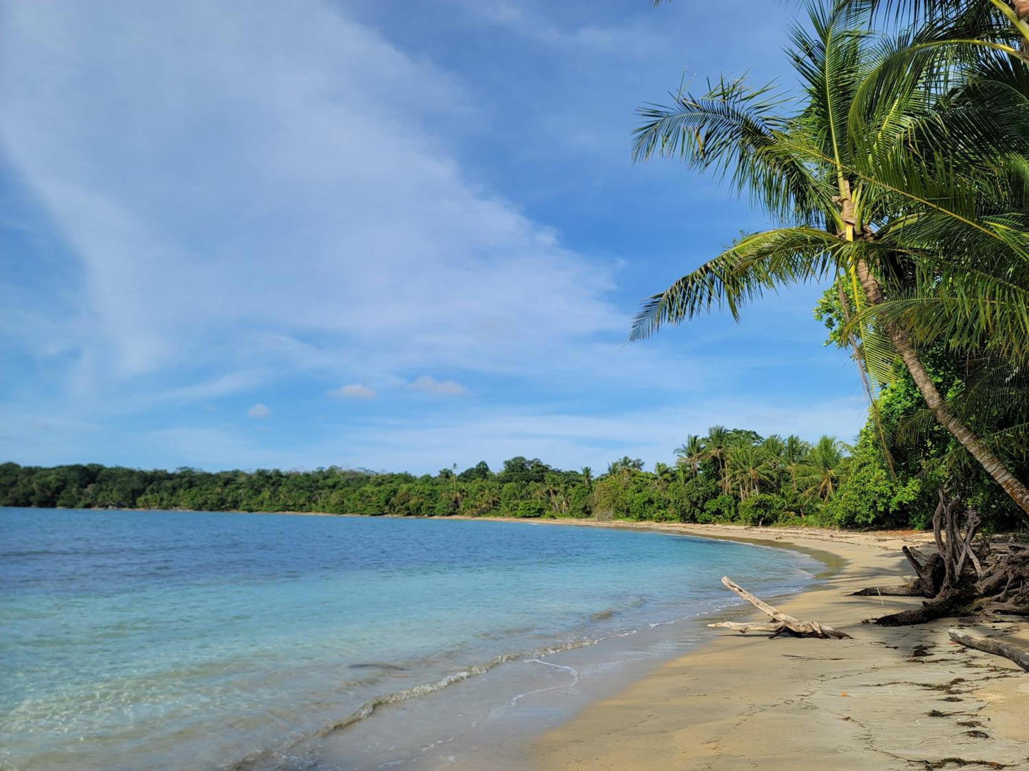 Drago Beach House - Private Beach Boca del Drago Bagian luar foto