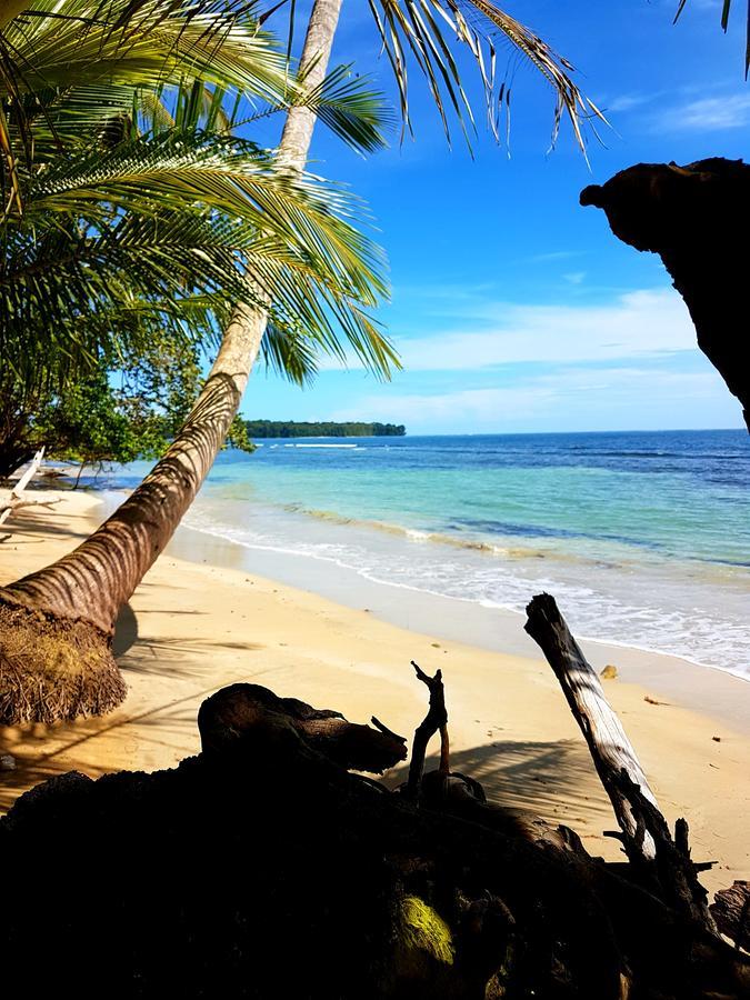 Drago Beach House - Private Beach Boca del Drago Bagian luar foto